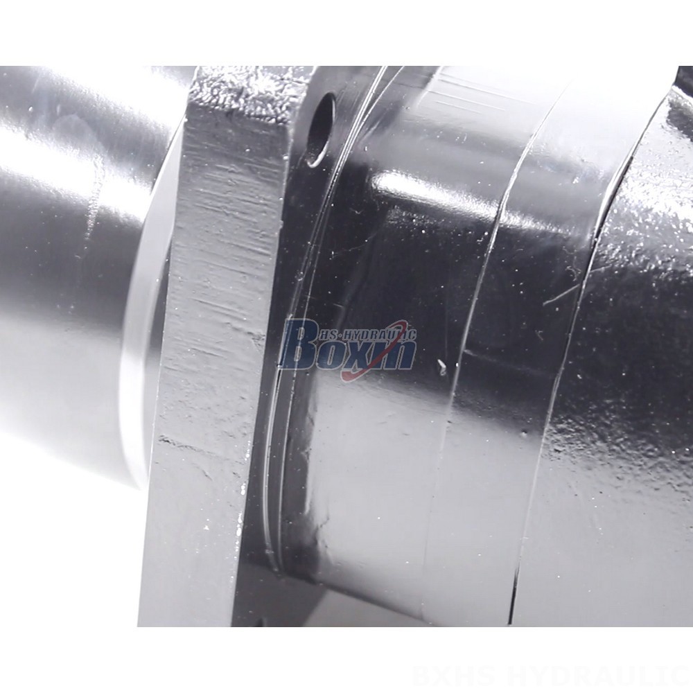 High-Performance BM6W Cycloid Hydraulic Motor - 310 cc/r, 150 Lpm detail image
